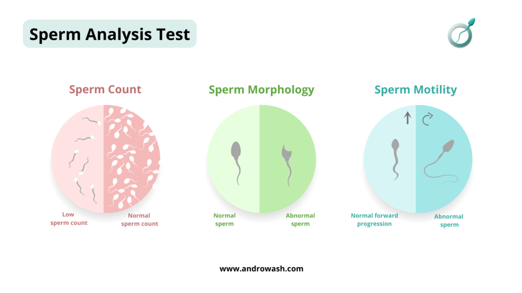 Sperm analysis test